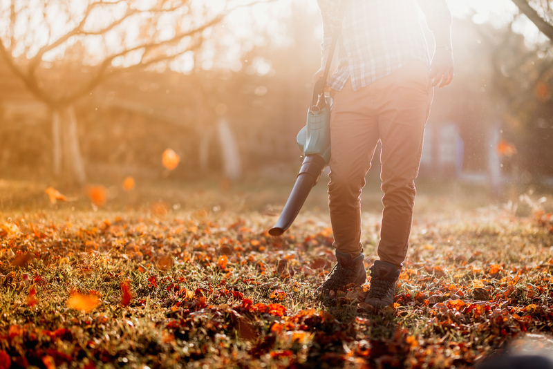 Fall Lawn Care Clean Up