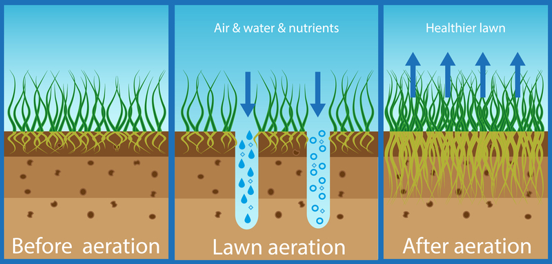 Fall Core Aeration