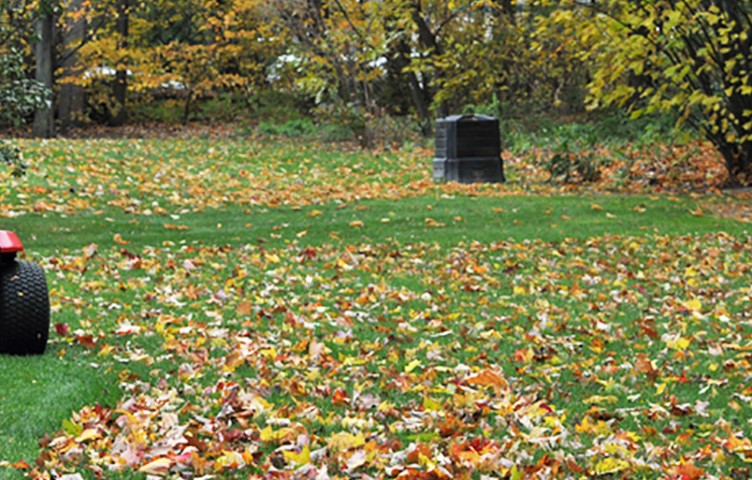 Andover Fall Lawn Mowing