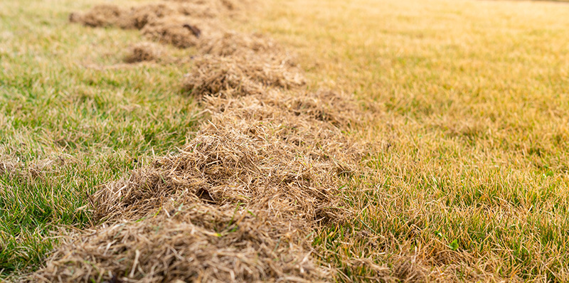 Andover Spring Clean Up