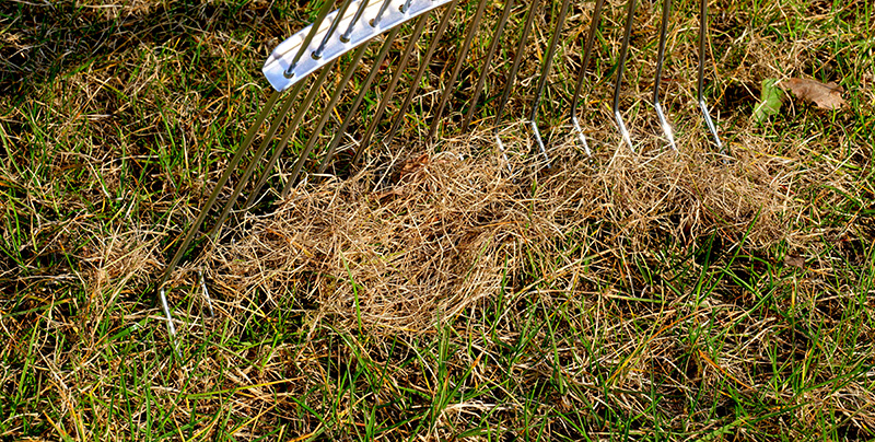 Andover Spring Dethatching