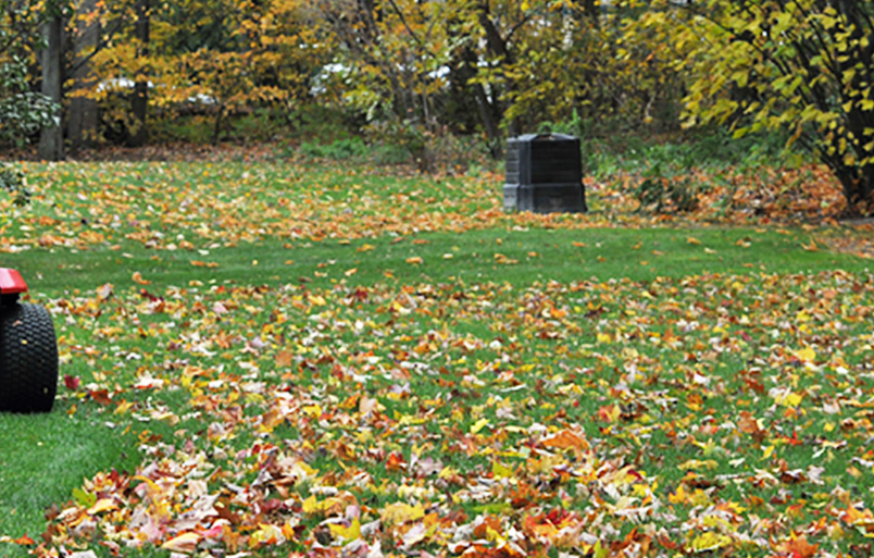 Columbia Heights Fall Lawn Mowing