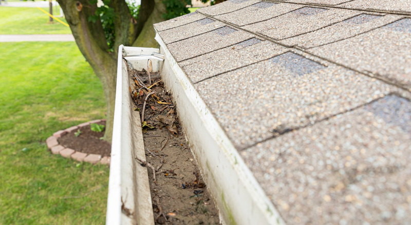 Hilltop Spring Gutter Cleaning