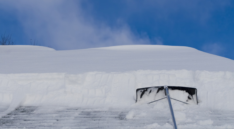 Spring Lake Park Roof Raking Services